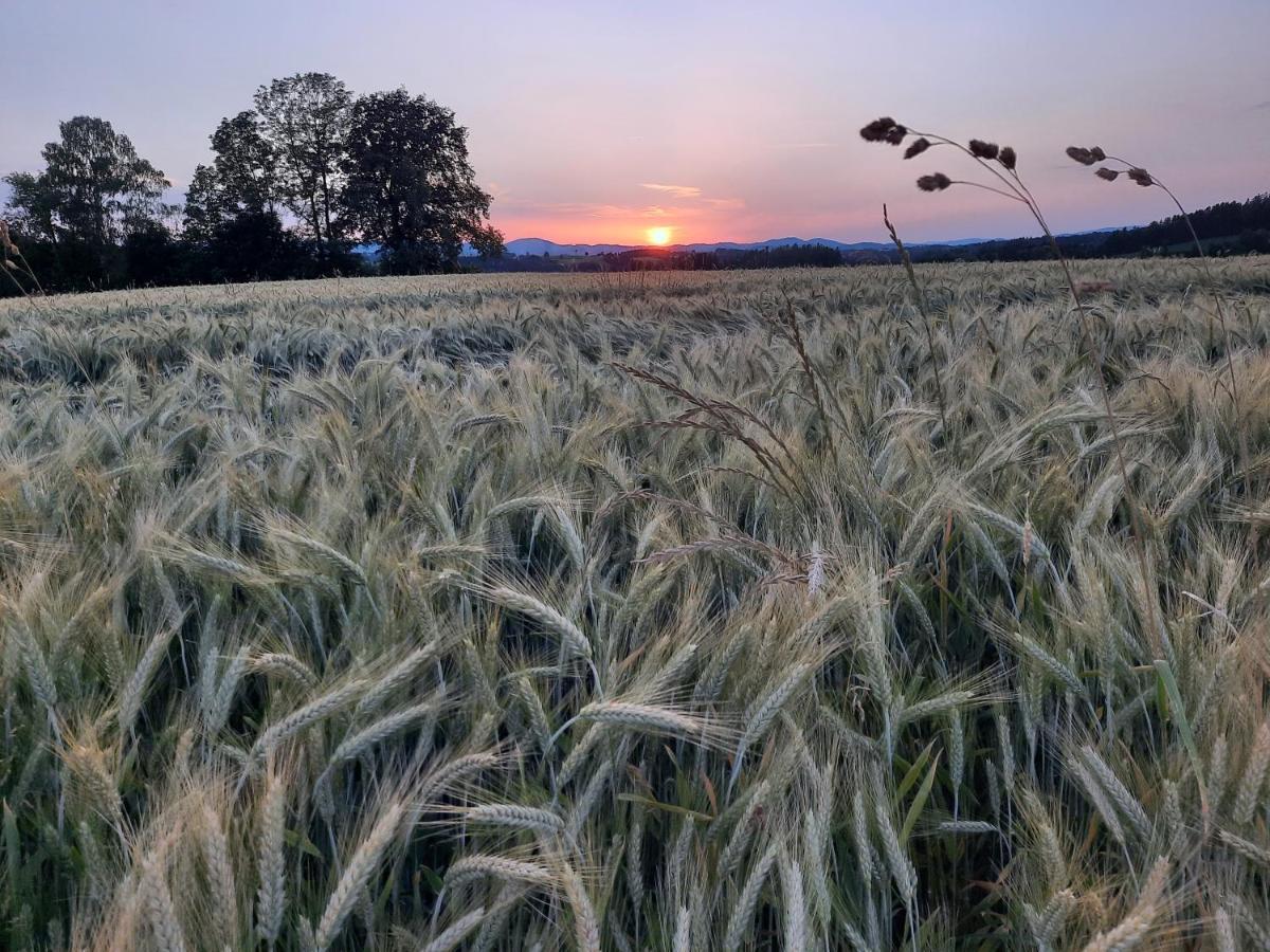 Grainmeisterhof Niederwaldkirchen Экстерьер фото