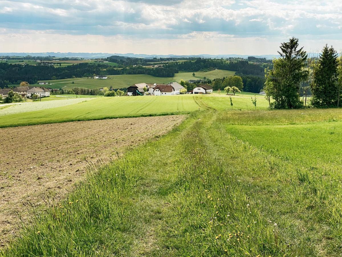 Grainmeisterhof Niederwaldkirchen Экстерьер фото