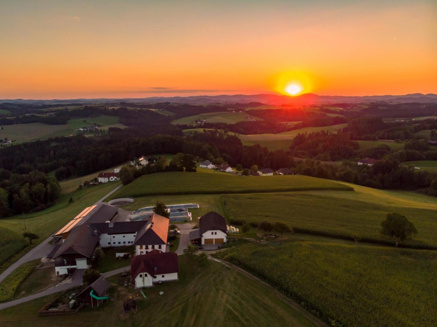 Grainmeisterhof Niederwaldkirchen Экстерьер фото